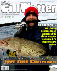 TheGillWetter-Cover-Grouper catch