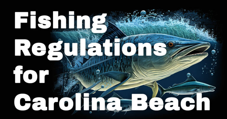 Fishing Regulations for Carolina Beach, NC